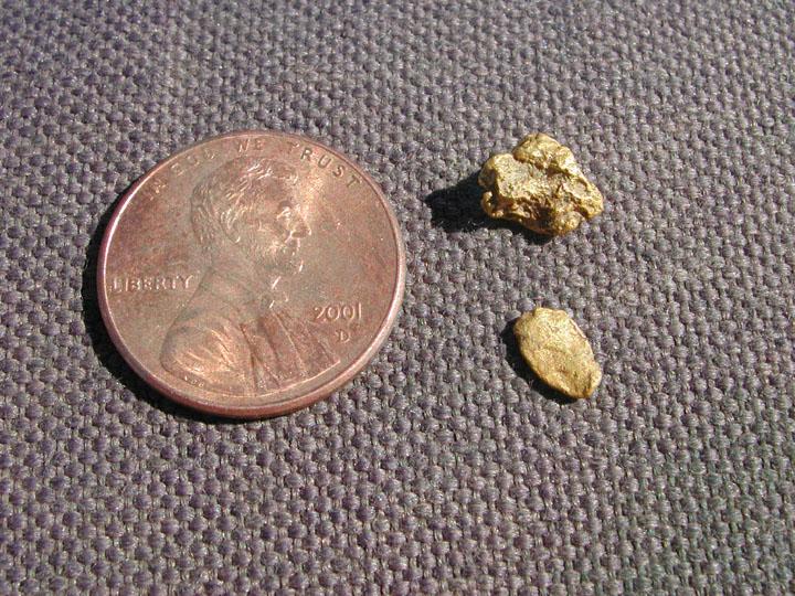 nuggets 12 and lucky13.jpg